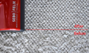 wool-loop-vacuum
